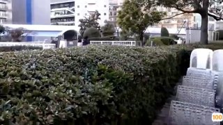 捷克学生大学派对